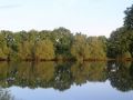 Reflections